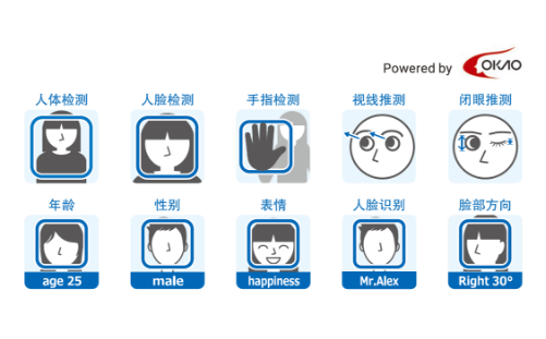 人体检测、人脸检测、手指检测、视线推测、闭眼推测、年龄、性别、表情、人脸识别、脸部方向