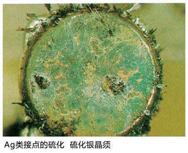 Ag类接点的硫化  硫化银晶须