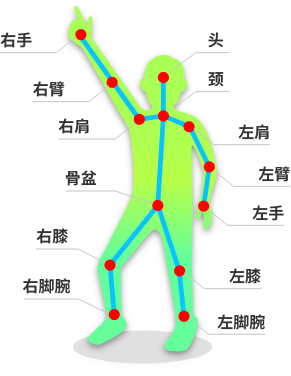 概要规格:骨骼关键点