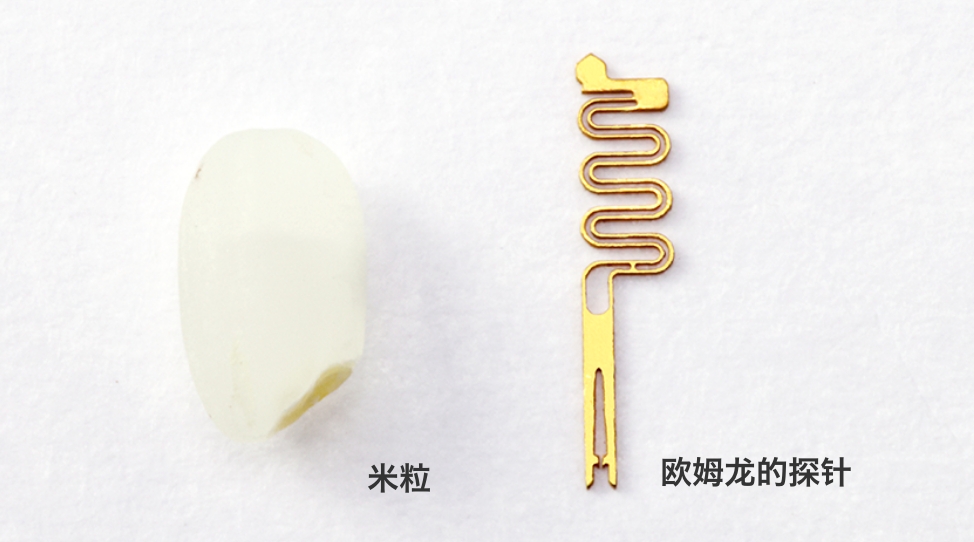 米粒 / 爱芮特斯的探针