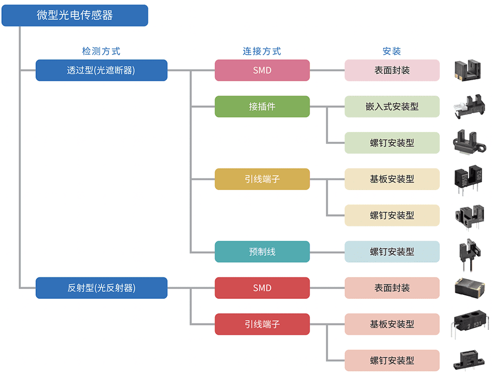 种类和分类